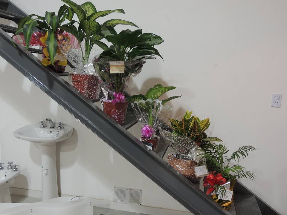 Imagen de la diapositiva